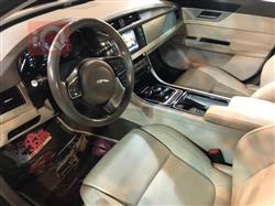 جاكوار XF